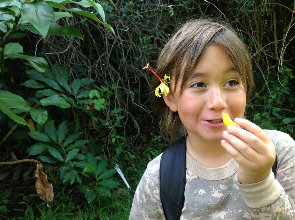 Sonny is showing me the eatable part of Heleconia flower.